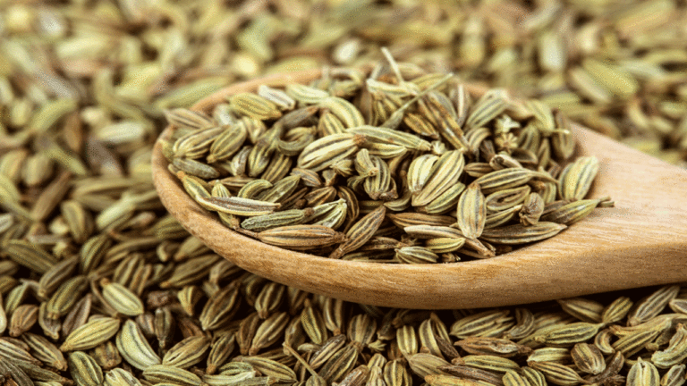 Fennel and its seeds: Its Uses and where it can be found